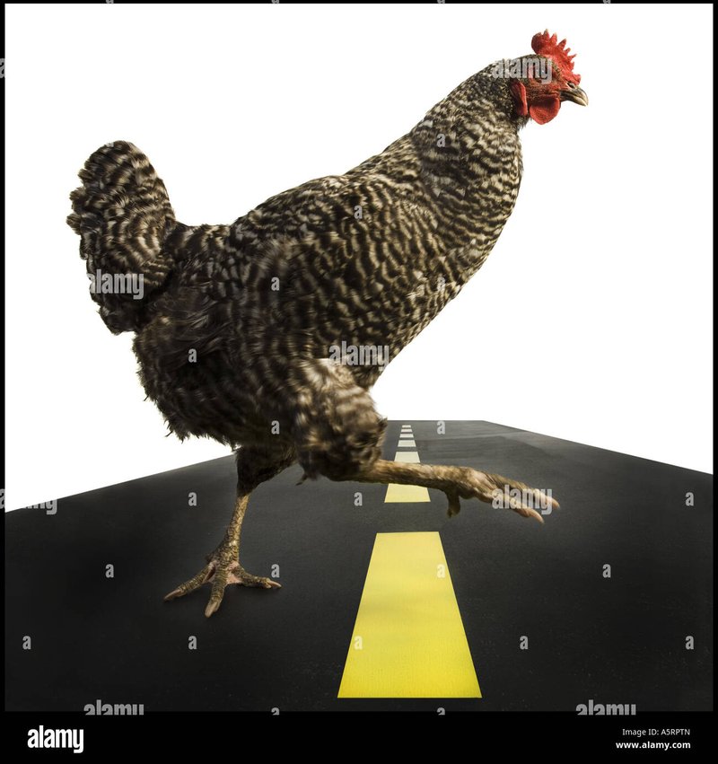 Een Rijke Jacht Starten op de Bevrijdende Chicken Road Gokspel in Nederland
